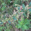 팔용산 체육공원 이미지