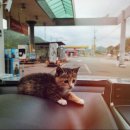 SK대성충전소 이미지