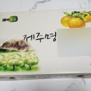맛있는 제주감귤 택배 추천 갓성비농산 후기