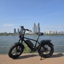 X라이더엑스라이더 | 영등포 전기자전거 수리 전기자전거 조 엑스라이더 X50 fs 풋페그 장착 후기