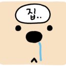 다원보쌈칼국수 네이버블로그