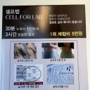 살롱H | [인천/검단] 인천 다이어트 / 셀포랩 라라뷰티(구 브로우살롱 H)/ 다이어트 후기