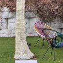 슈트라 하우스 A동 | 광주 근교 펜션/ 전남 담양 펜션 추천_슈트라하우스 내돈내산 숙박 후기