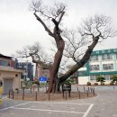 경산지역 이미지