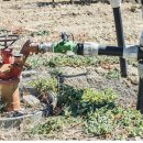 한일상사 이미지