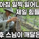 가을 내장산, 이미지