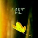 멋내고뽐내고