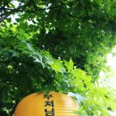 적재울.기좌(기좌리) | 부처님 오신 날 안성 성덕사