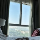 호떠이, 떠이호? 베트남 주재원 첫발 딛기