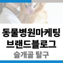 학산동물병원 이미지