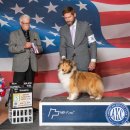 솔리뉴(Solynue) 이미지