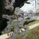 오수시장 이미지