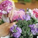 브레드바바 이미지