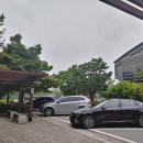 평화로운세상
