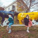 신신목장 이미지