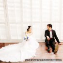 강이은 카카오 검색결과