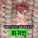 동해시-34 | 동해 회 맛집 회귀빈 내돈내산 방어 후기