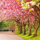 향기4로 이미지