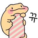에이치게코