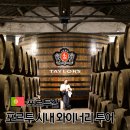 더브랜드테일러스 | 포르투갈 포르투 와이너리 투어 한국어 가이드 테일러스
