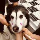 올리스(위례) 이미지