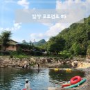 백수읍사무소 | [일상포토덤프#5] 작년 여름 추억 (여름캠핑장추천)