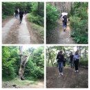 지리산길섶