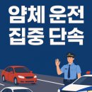 얌체