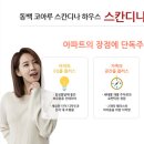 스칸디나하우스