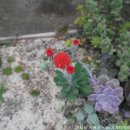 오수리농장 이미지