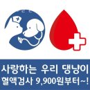 동편동물혈액검진센터 이미지