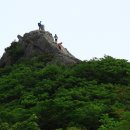 강산해 농장 티스토리