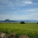 항구낚시 슈퍼 | 가파도 청보리 축제 여행 솔직후기, 꿀팁(1박2일 숙소 / 용궁식당 / 김진현핫도그/ 제주4월가볼만한곳)