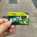 삿포로 양고기 맛집 스스키노 징기스칸 시마다야 타누키코지텐 방문 후기