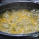 태평양볼테기 이미지