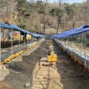 양구 벌꿀 이미지