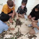 다목초등학교 이미지