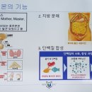 뉴로밸런스