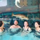 서부세탁소 이미지