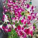 명가한약국 이미지