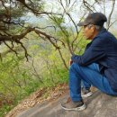 할배참옻 이미지