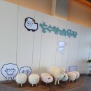 금송목장 네이버블로그