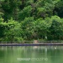 화천산소길 이미지