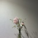 우*택 | 안국역 북촌 꽃집 우아화 꽃다발 후기