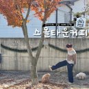 스몰커피 | 아산 배방 스몰타운커피☕️ 주말 산책 겸 다녀온 카페 후기