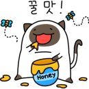 꼰돼지 이미지