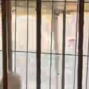 명복농장 이미지