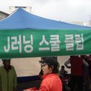 103일 강남국제평화마라톤대회 이미지
