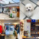 예쁜구제 | 제주 애월 구제샵 미미빈티지 미깡이 만나고 온 후기