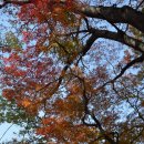 장미장여관 - 고양시 덕양구 마상로 130-1 | 장미장여관